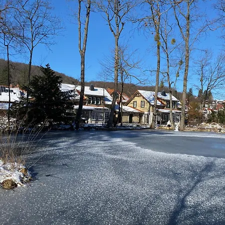 Ilsenburg, Luxurioese Landhaeuser Mit Sauna Und Kamin, Mitten Im Harz אילזנבורג