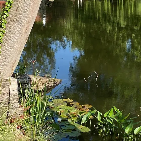 Ilsenburg, Luxurioese Landhaeuser Mit Sauna Und Kamin, Mitten Im Harz 伊尔森堡