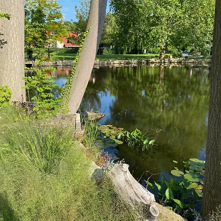Ilsenburg, Luxurioese Landhaeuser Mit Sauna Und Kamin, Mitten Im Harz *