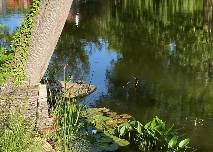 Ilsenburg, Luxurioese Landhaeuser Mit Sauna Und Kamin, Mitten Im Harz 伊尔森堡