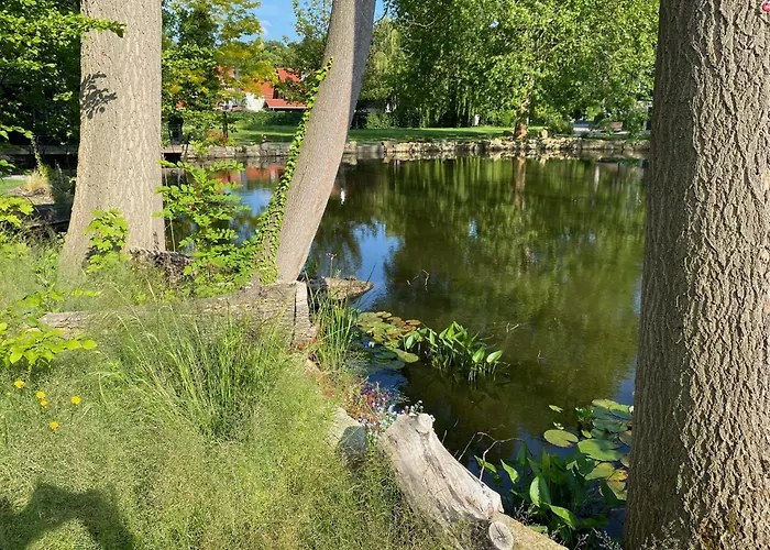 Ilsenburg, Luxurioese Landhaeuser Mit Sauna Und Kamin, Mitten Im Harz *