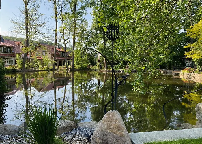 Ilsenburg, Luxurioese Landhaeuser Mit Sauna Und Kamin, Mitten Im Harz 度假居 *